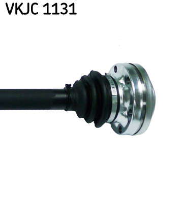 VKJC_1131_3