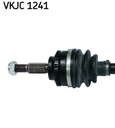 VKJC_1241_2