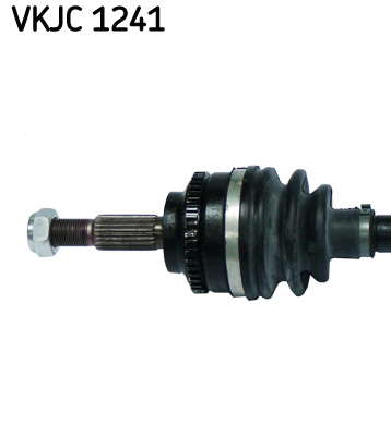 VKJC_1241_2