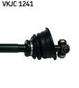 VKJC_1241_3