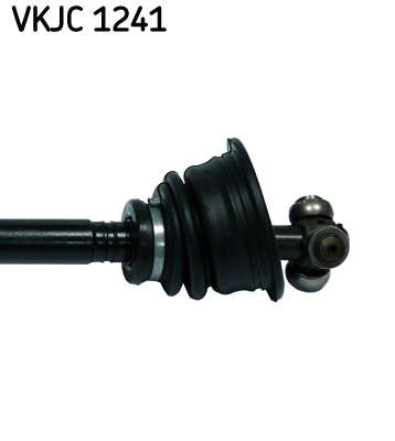 VKJC_1241_3