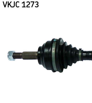 VKJC_1273_2