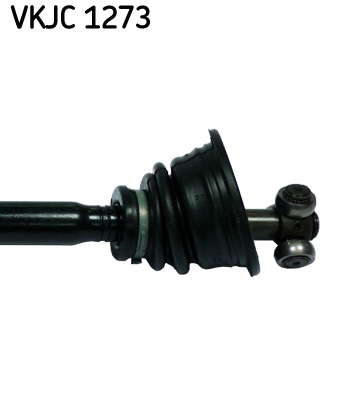 VKJC_1273_3