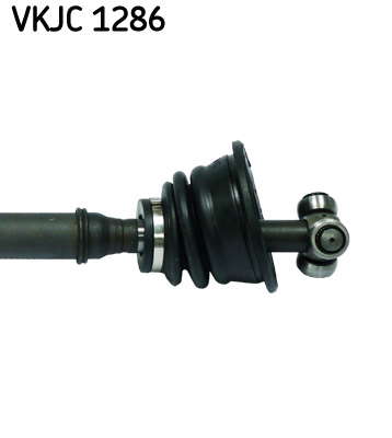 VKJC_1286_3