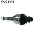 VKJC_1446_2