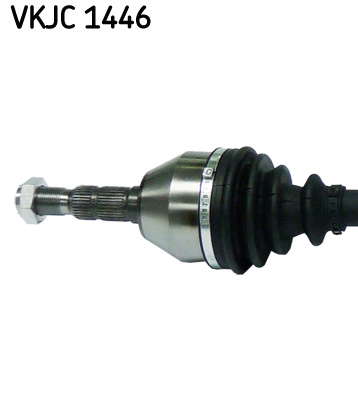 VKJC_1446_2