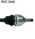 VKJC_1446_3