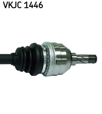 VKJC_1446_3