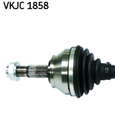 VKJC_1858_2