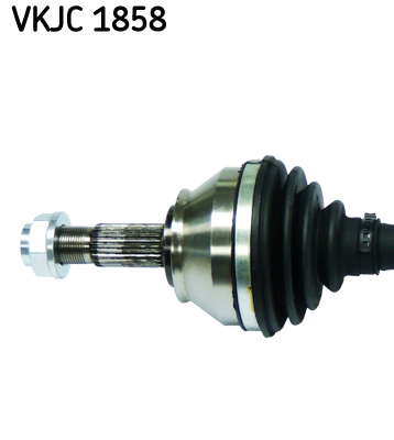 VKJC_1858_2