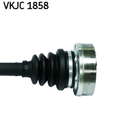 VKJC_1858_3
