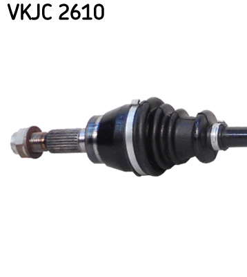 VKJC_2610_2