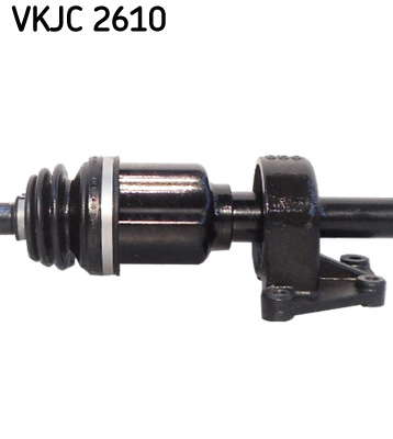 VKJC_2610_3