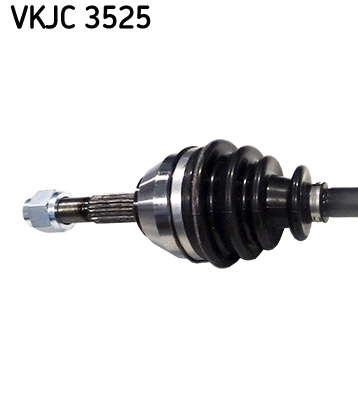 VKJC_3525_2