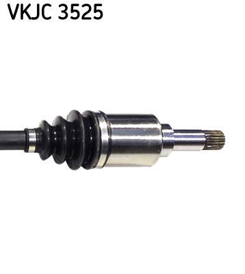 VKJC_3525_3