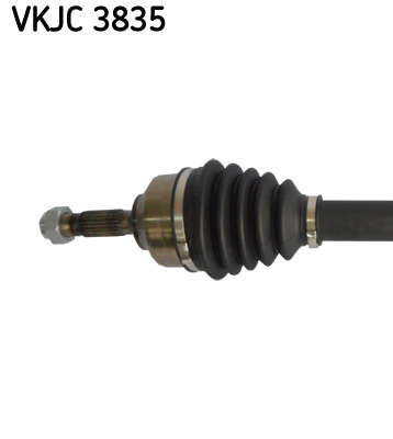 VKJC_3835_2