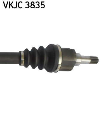VKJC_3835_3