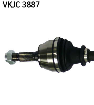 VKJC_3887_2
