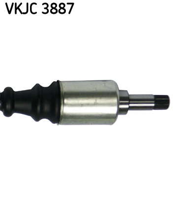 VKJC_3887_3