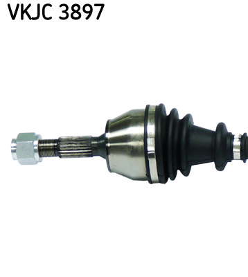 VKJC_3897_2