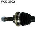 VKJC_3902_2