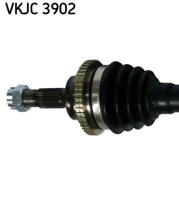 VKJC_3902_2