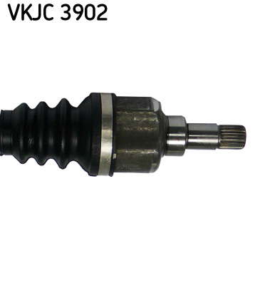 VKJC_3902_3