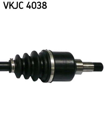 VKJC_4038_3