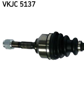 VKJC_5137_2