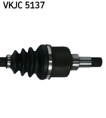VKJC_5137_3