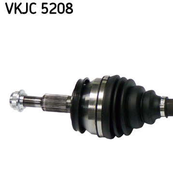 VKJC_5208_2