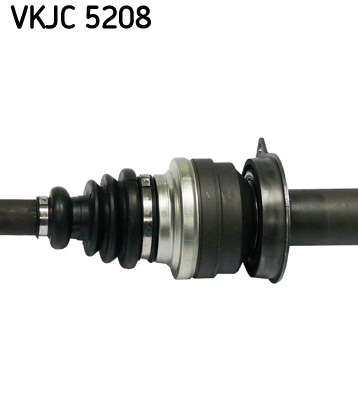 VKJC_5208_3