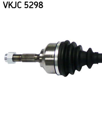 VKJC_5298_2