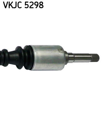 VKJC_5298_3