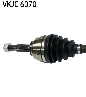 VKJC_6070_2