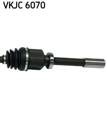 VKJC_6070_3