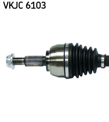 VKJC_6103_2