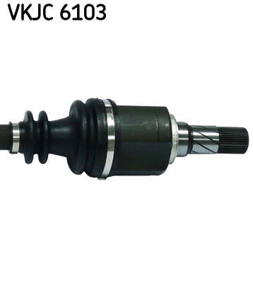 VKJC_6103_3
