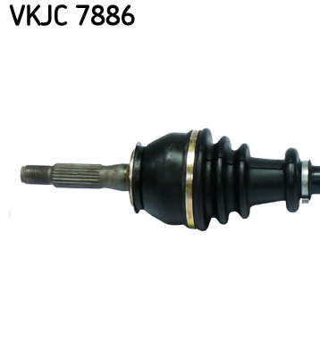 VKJC_7886_2