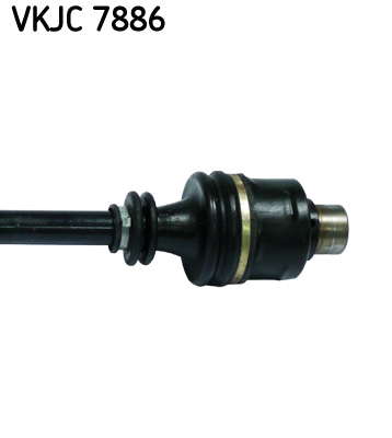 VKJC_7886_3