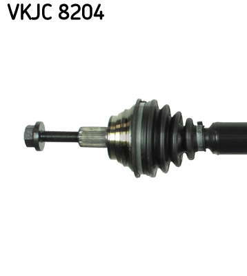 VKJC_8204_2