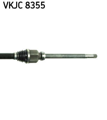 VKJC_8355_3