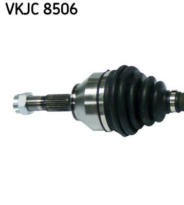 VKJC_8506_2