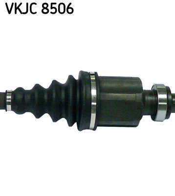 VKJC_8506_3