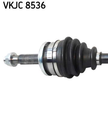 VKJC_8536_2