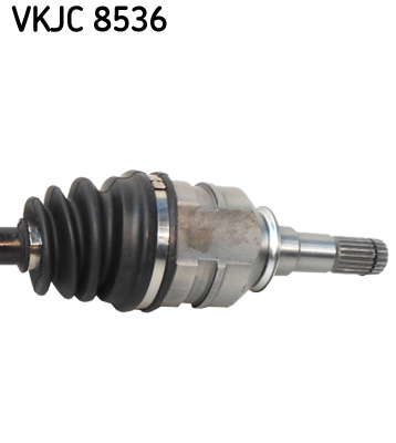 VKJC_8536_3