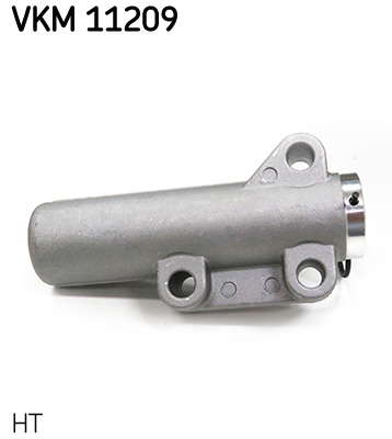 VKM_11209_2