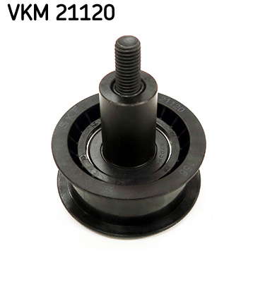 VKM_21120_2