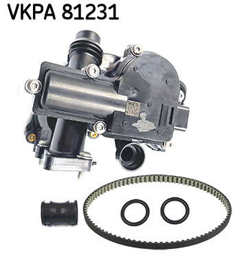 VKPA_81231_2