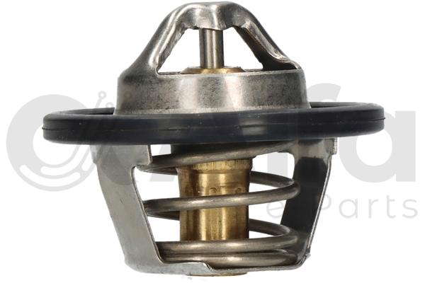 Thermostat d'eau